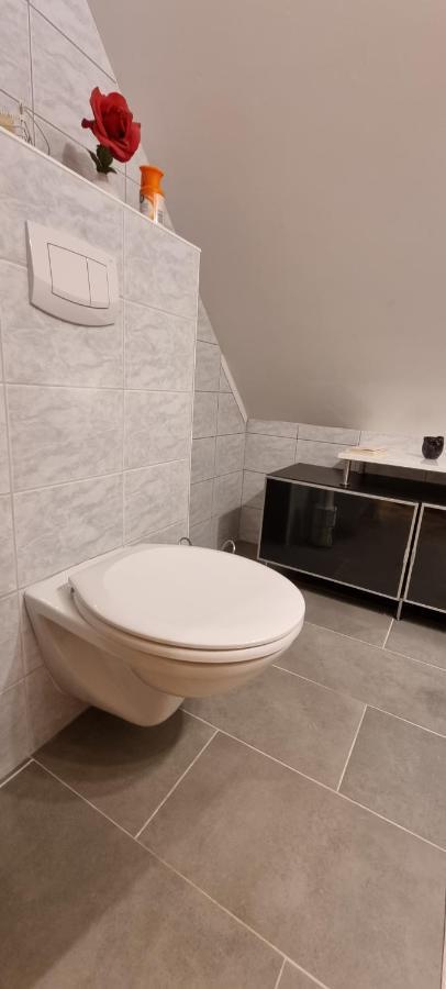 Apartment Mittelpunkt - Kaufmann Sankt Stefan ob Leoben エクステリア 写真